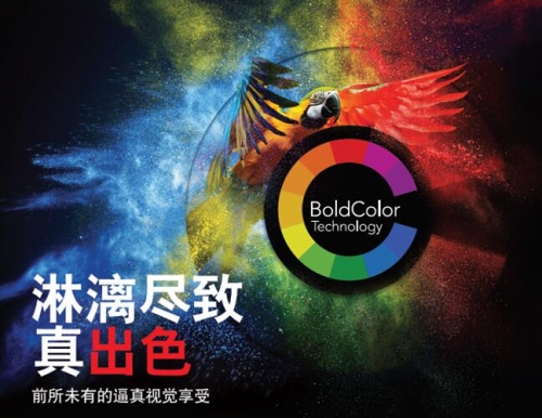 BoldColorǿƵǳ ӳӴ