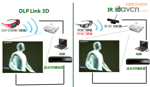 3Dȫ